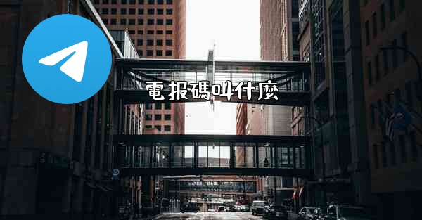 電报碼叫什麼
