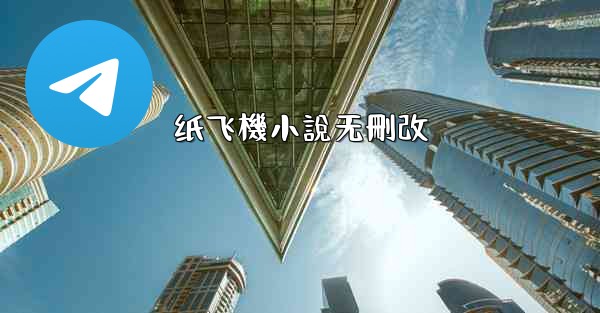 纸飞機小說无刪改