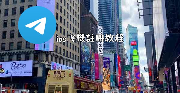 ios飞機註冊教程