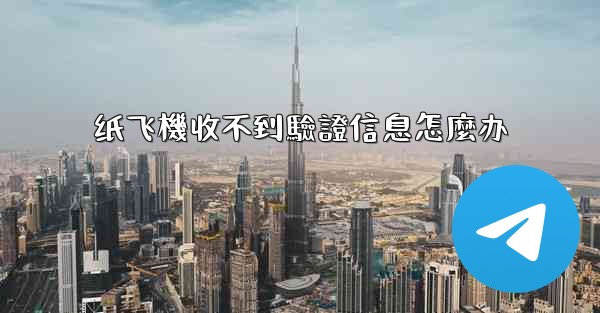 纸飞機收不到驗證信息怎麼办