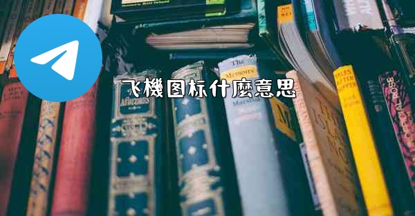 飞機图标什麼意思