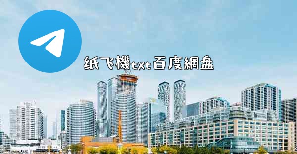 纸飞機txt百度網盘