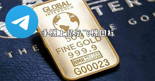 手機上显示飞機图标