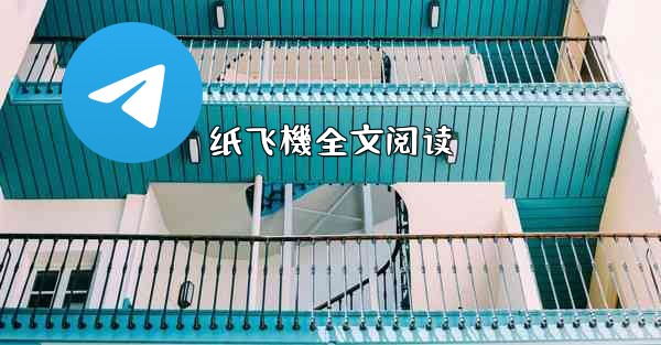 纸飞機全文阅读