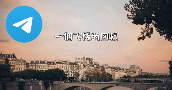 一個飞機的图标