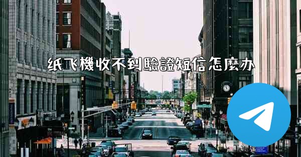 纸飞機收不到驗證短信怎麼办