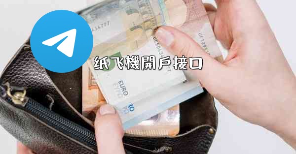 纸飞機開戶接口