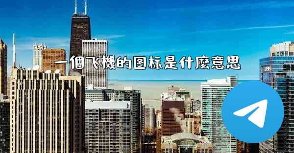 一個飞機的图标是什麼意思