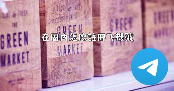 在國內怎麼註冊飞機號