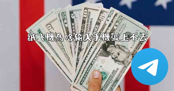 纸飞機為啥输入手機號上不去