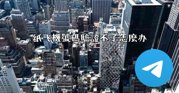 纸飞機號碼驗證不了怎麼办