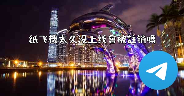 纸飞機太久没上线會被註销嗎