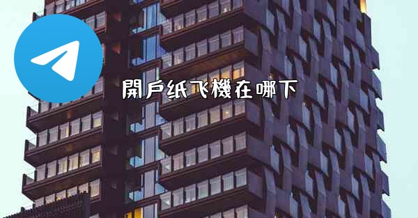 開戶纸飞機在哪下