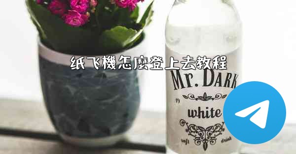 纸飞機怎麼登上去教程