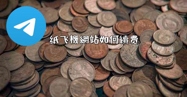 纸飞機網站如何續费