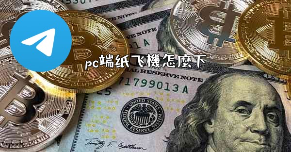 pc端纸飞機怎麼下