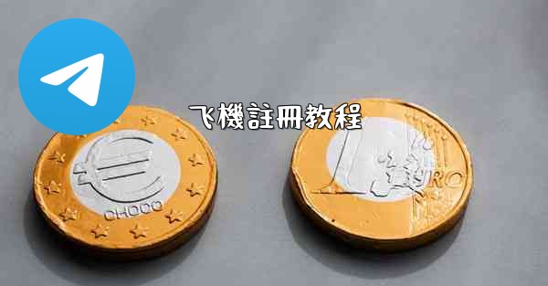 飞機註冊教程