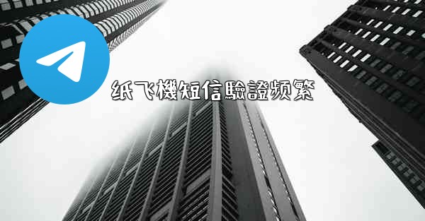 纸飞機短信驗證频繁