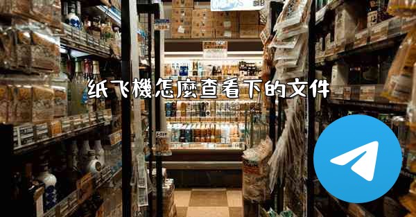 纸飞機怎麼查看下的文件