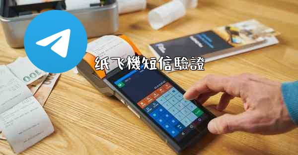 纸飞機短信驗證