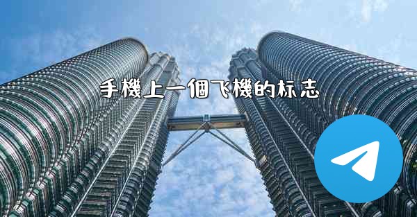 手機上一個飞機的标志