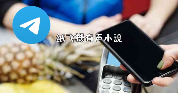 纸飞機有声小說