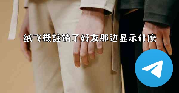 纸飞機註销了好友那边显示什麼