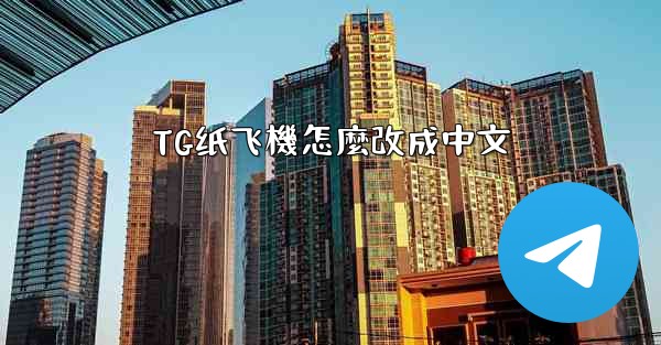 TG纸飞機怎麼改成中文