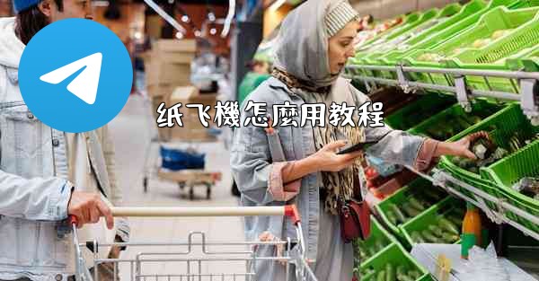 纸飞機怎麼用教程