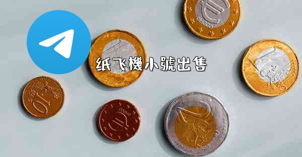 纸飞機小號出售