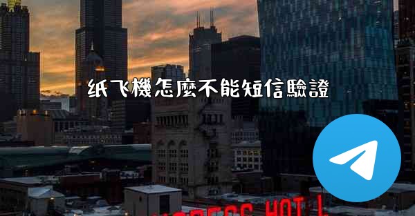 纸飞機怎麼不能短信驗證
