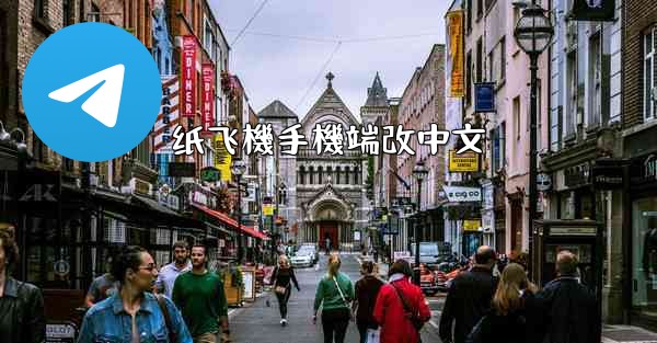 纸飞機手機端改中文