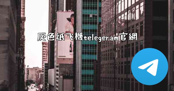 灰色纸飞機telegeram官網