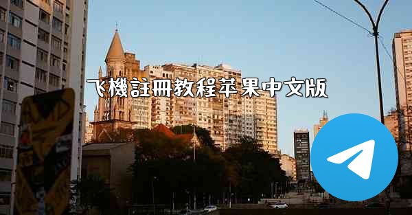 飞機註冊教程苹果中文版