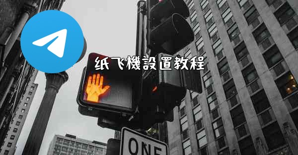 纸飞機設置教程