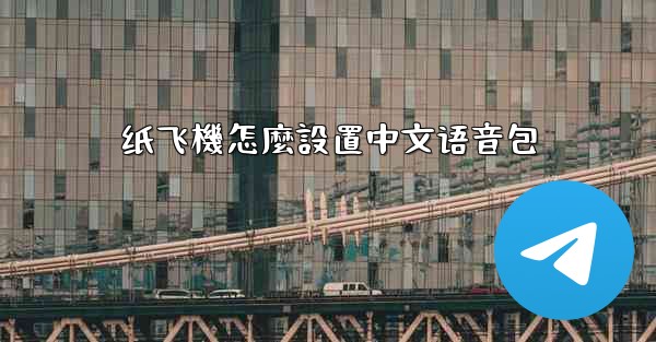 纸飞機怎麼設置中文语音包
