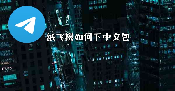 纸飞機如何下中文包