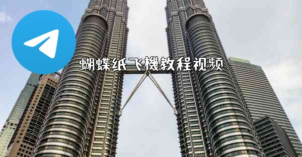 蝴蝶纸飞機教程视频