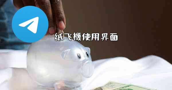 纸飞機使用界面