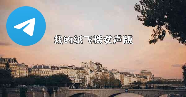 我的纸飞機女声版