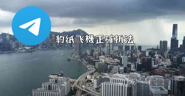 猎豹纸飞機正確折法