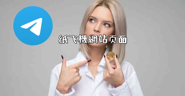 纸飞機網站页面