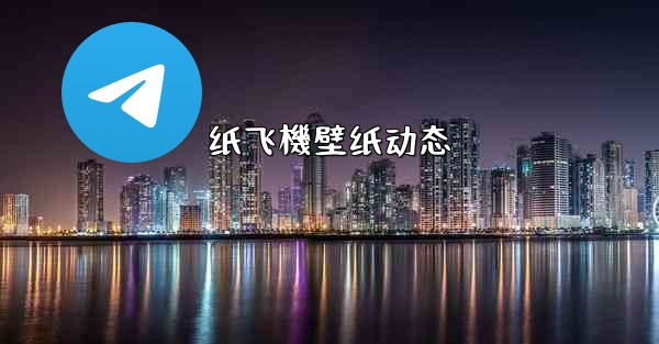 纸飞機壁纸动态