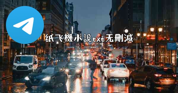 纸飞機小說txt无刪減