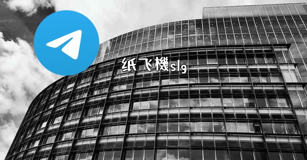 纸飞機slg
