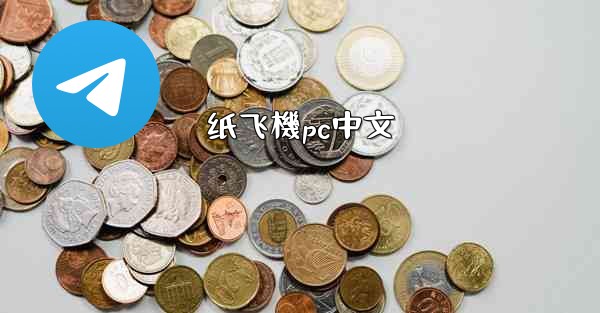 纸飞機pc中文