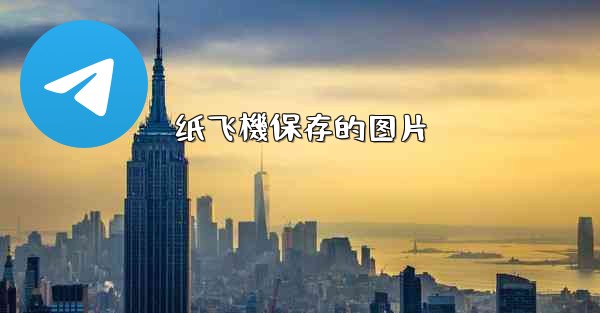 纸飞機保存的图片