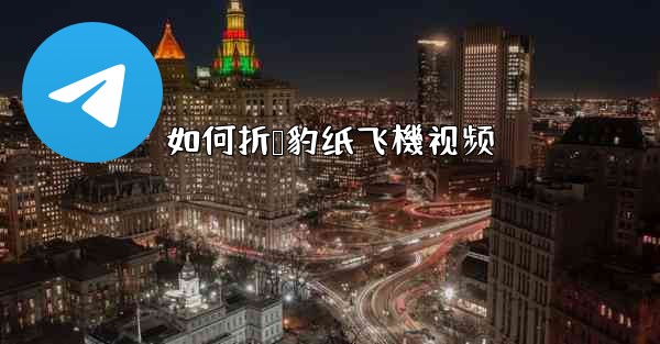 如何折猎豹纸飞機视频