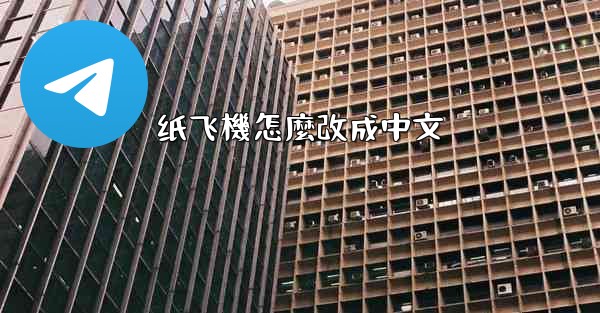 纸飞機怎麼改成中文