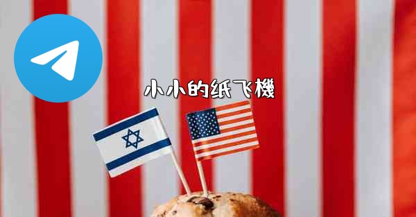 小小的纸飞機